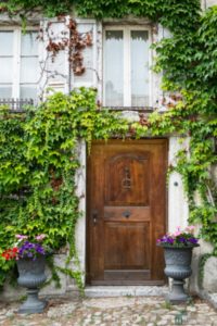 Choose a new front door for premier home remodeling.