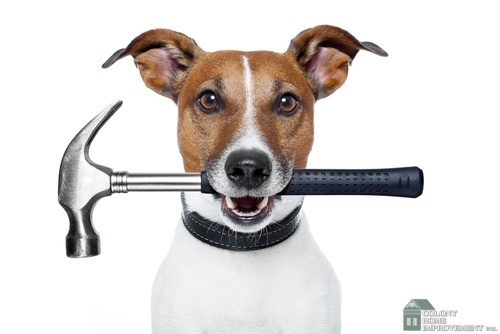 Talk to home addition contractors about keeping pets safe.