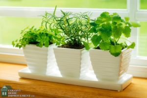 Build an herb garden into your kitchen remodeling.