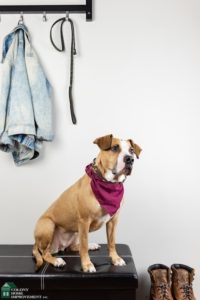 Dog owners can benefit from a mudroom addition.